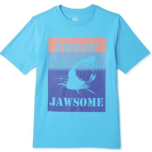 Levi's & Wonder Nation 2PCS Boy's Crewneck Tees Size XL 14/16 Used/New - Picture 3 of 5